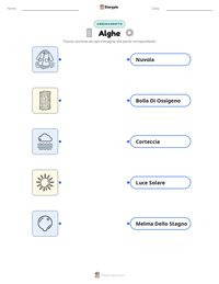Anteprima della scheda stampabile di Alghe