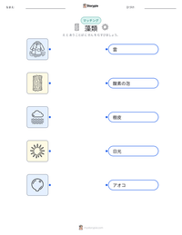 藻類 の印刷可能ワークシートプレビュー