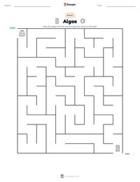 Algae printable worksheet preview