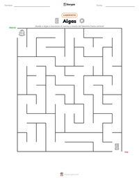 Vista previa de la hoja de trabajo imprimible de Algas