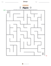 Aperçu de la feuille de travail imprimable Algues