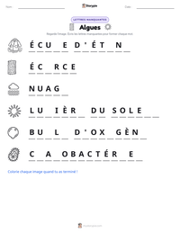 Aperçu de la feuille de travail imprimable Algues