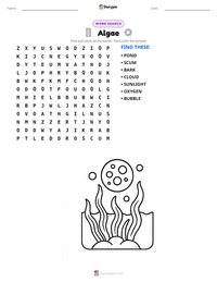Algae printable worksheet preview