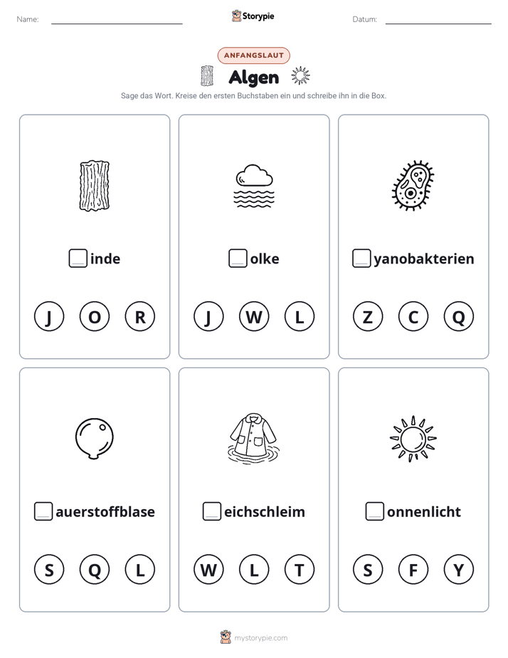 Anfangslaute