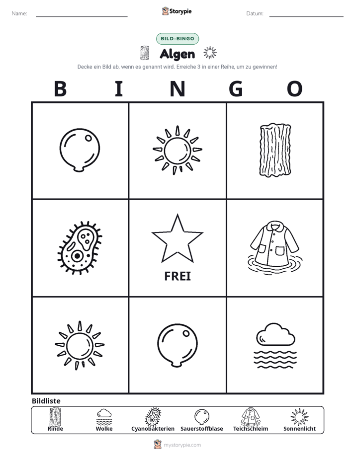 Bild-Bingo