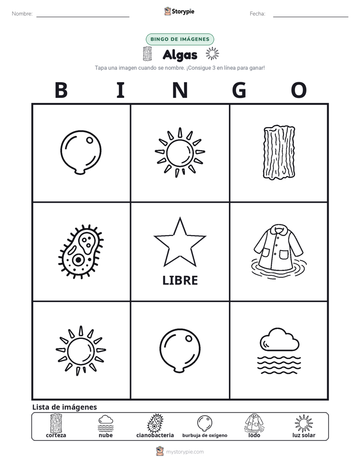 Bingo de Imágenes