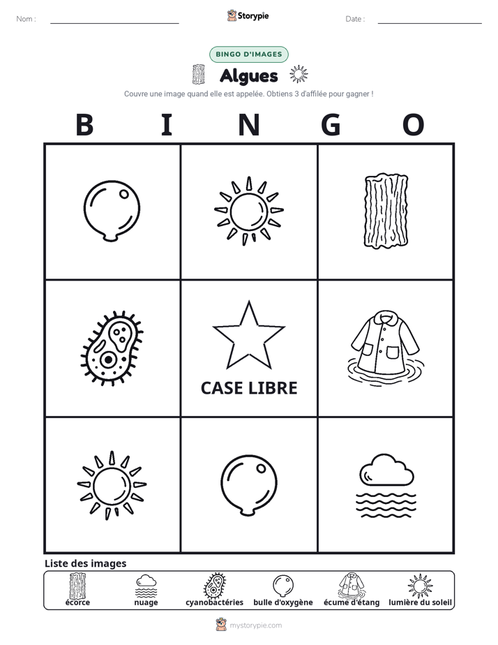 Bingo d'Images