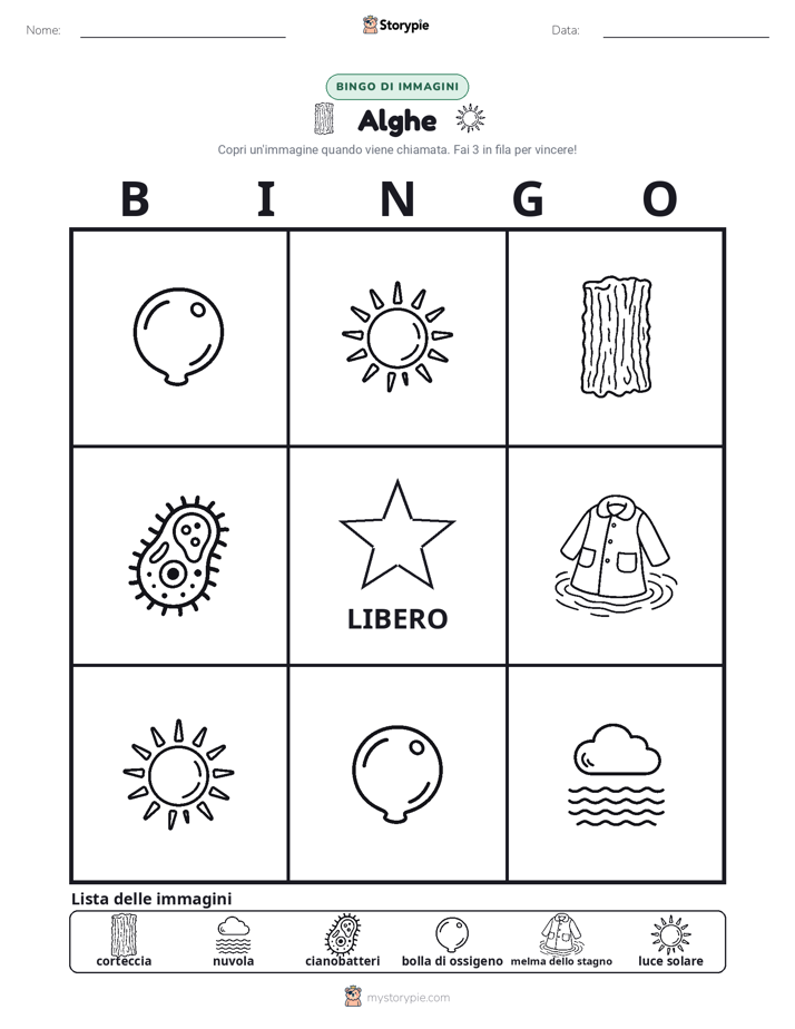 Bingo delle Immagini