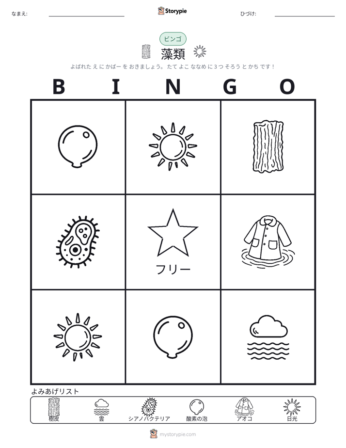 ピクチャービンゴ