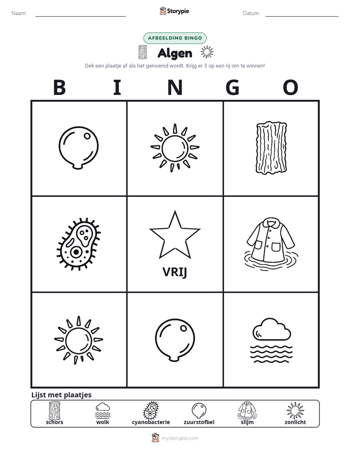 Afbeelding Bingo