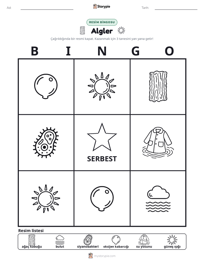 Resim Bingo