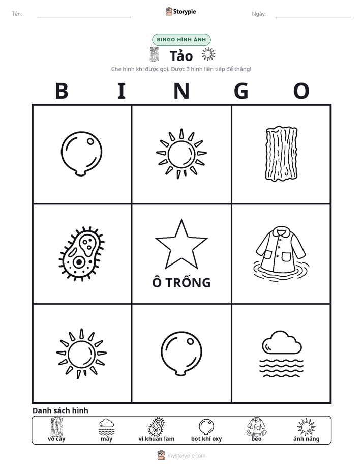 Bingo Hình Ảnh