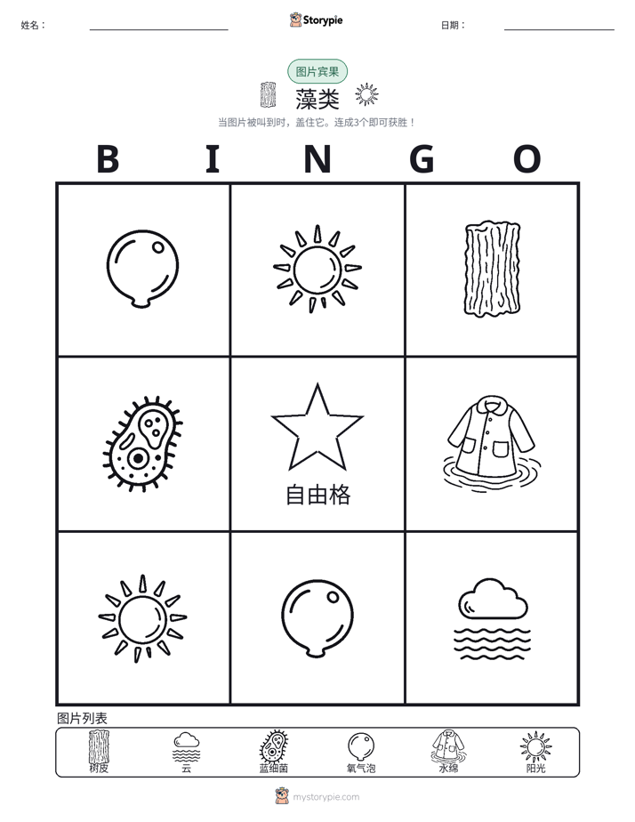 图片宾果