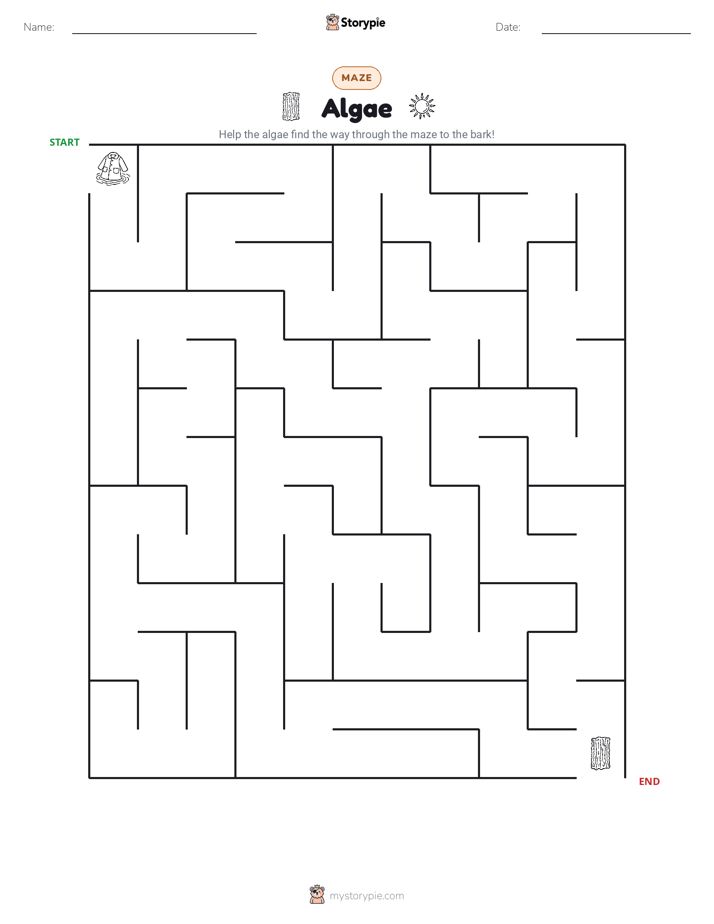 Maze