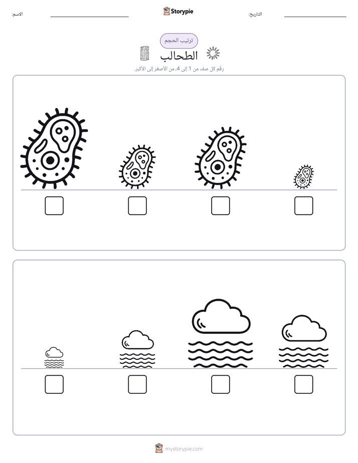 ترتيب الحجم