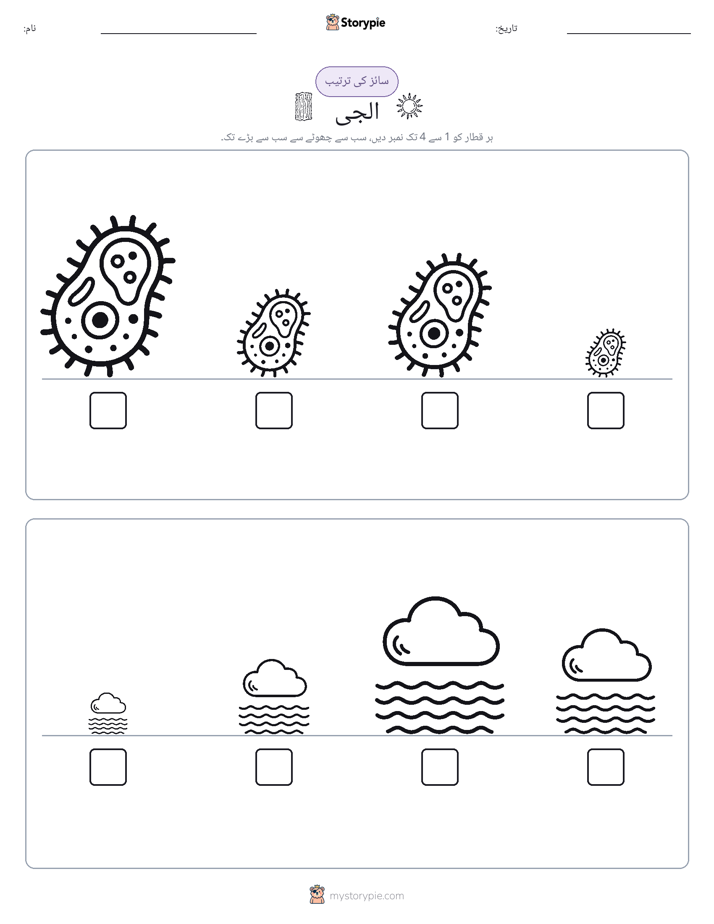 سائز کی ترتیب