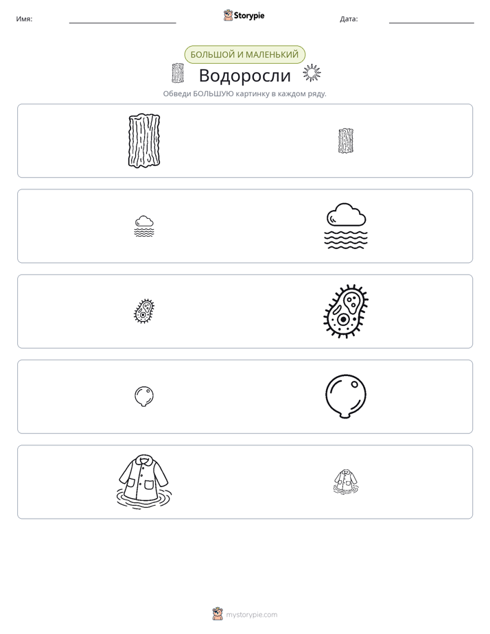 Сортировка