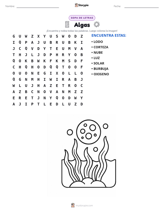 Sopa de Letras