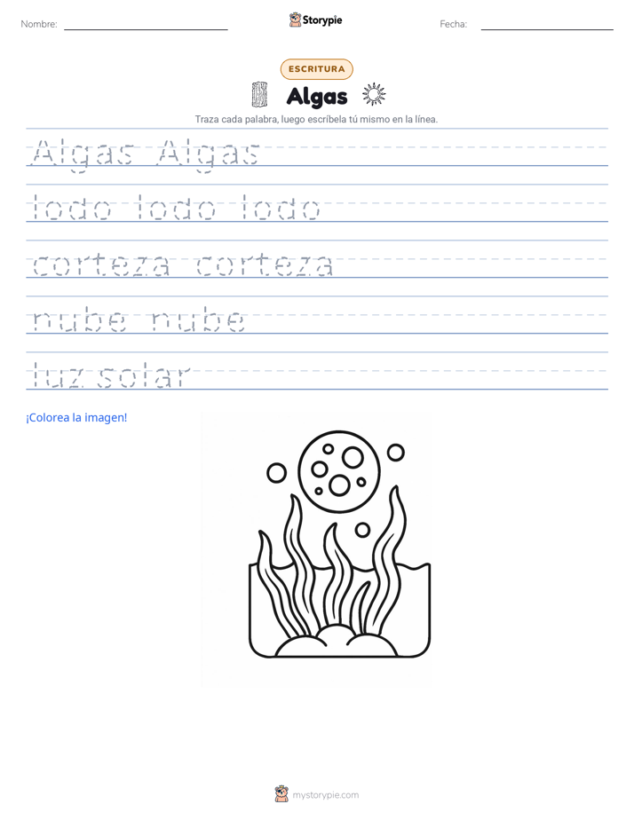 Práctica de Escritura