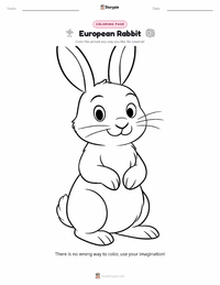 European Rabbit coloring page for kids