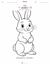 欧洲兔 着色页，适合儿童