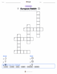 European Rabbit printable worksheet preview