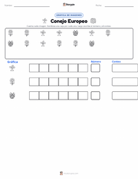 Vista previa de la hoja de trabajo imprimible de Conejo Europeo