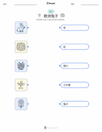 欧洲兔 可打印工作表，适合儿童