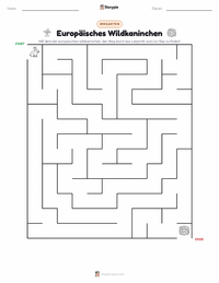 Europäisches Kaninchen druckbare Arbeitsblatt Vorschau