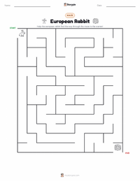 European Rabbit printable worksheet preview