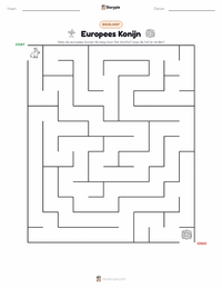Europees konijn afdrukbare werkblad voorbeeld