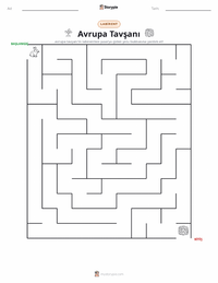 Avrupa Tavşanı yazdırılabilir çalışma sayfası önizlemesi