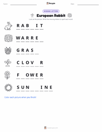 European Rabbit printable worksheet preview