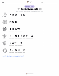 Podgląd drukowalnego arkusza ćwiczeń Królik europejski