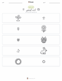 معاينة ورقة العمل القابلة للطباعة الأرنب الأوروبي