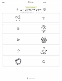 ヨーロッパアナウサギ の印刷可能ワークシートプレビュー