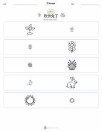 欧洲兔 可打印工作表预览