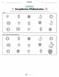 Europäisches Kaninchen druckbare Arbeitsblatt Vorschau