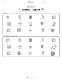 Avrupa Tavşanı yazdırılabilir çalışma sayfası önizlemesi