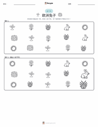 欧洲兔 可打印工作表预览