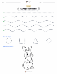 European Rabbit printable worksheet preview