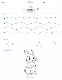 欧洲兔 可打印工作表预览