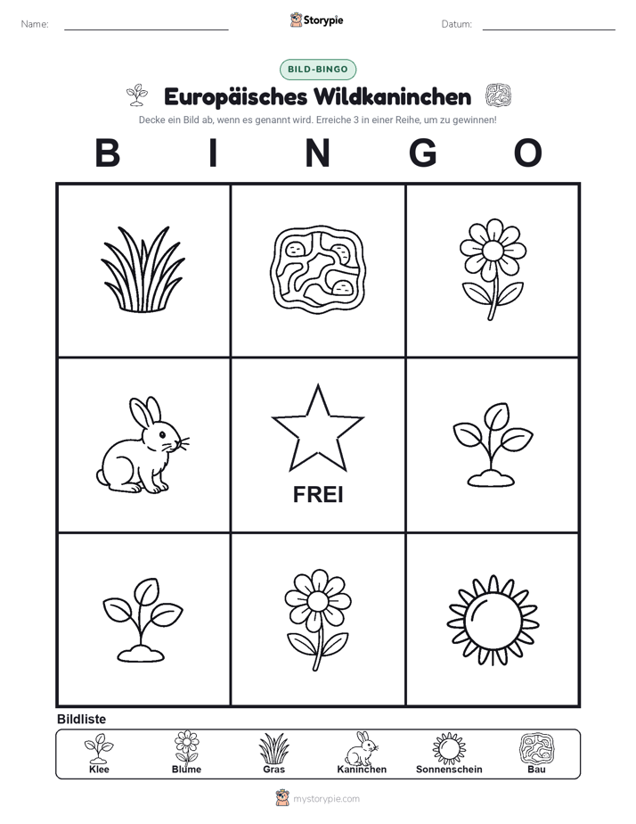 Bild-Bingo