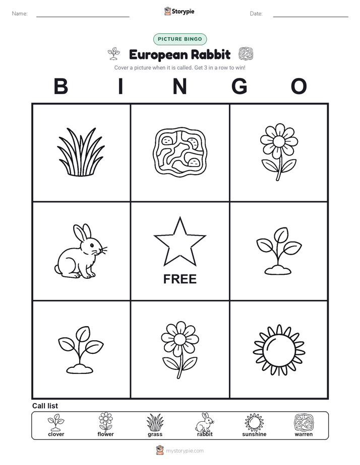 Picture Bingo