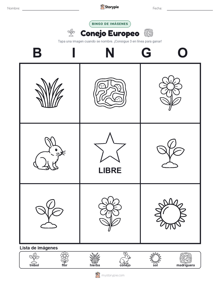 Bingo de Imágenes