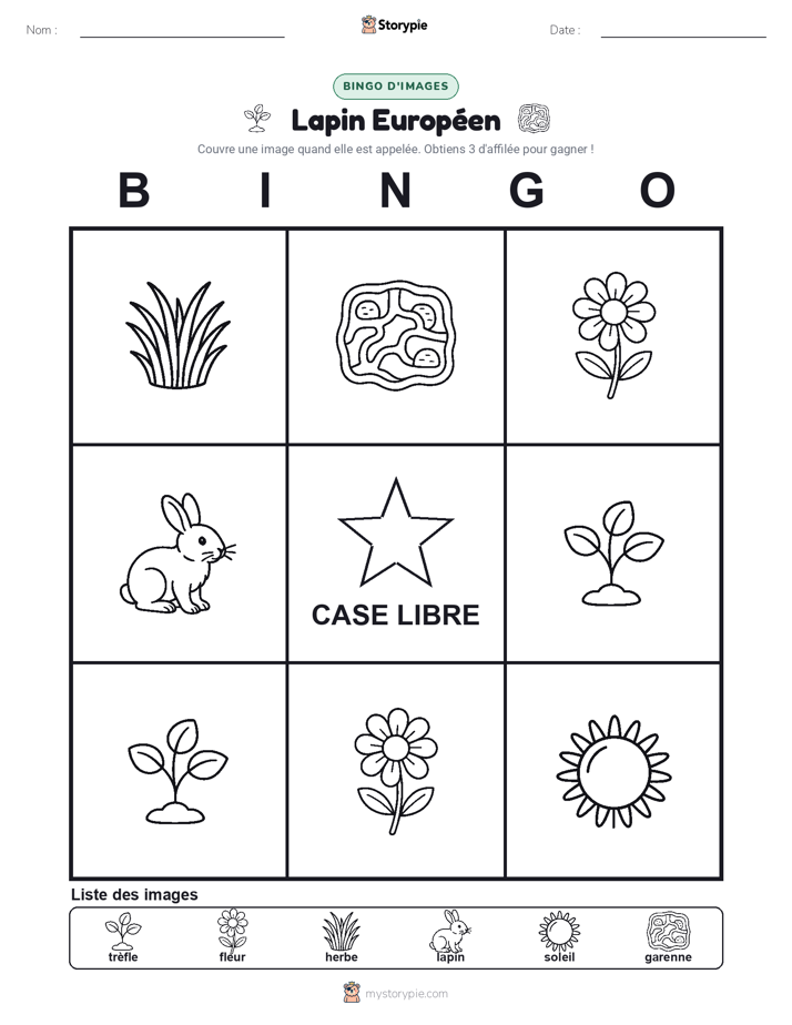 Bingo d'Images
