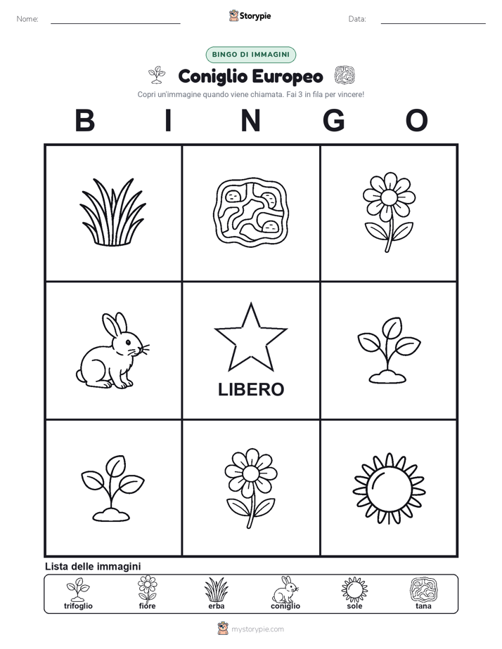 Bingo delle Immagini