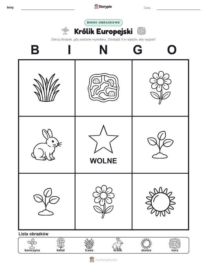 Bingo obrazkowe