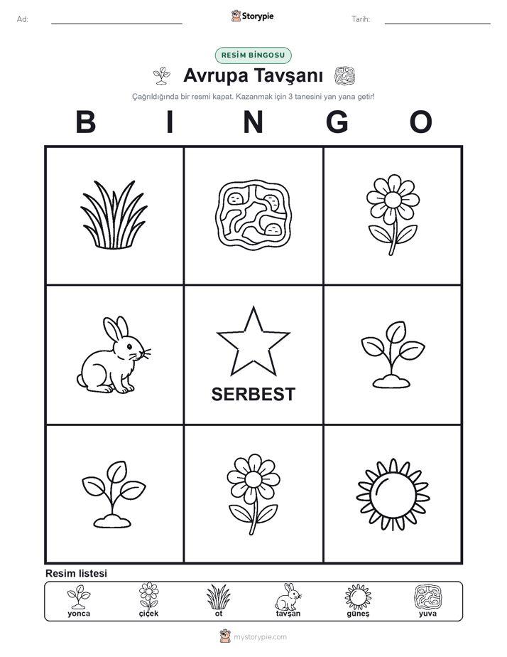 Resim Bingo