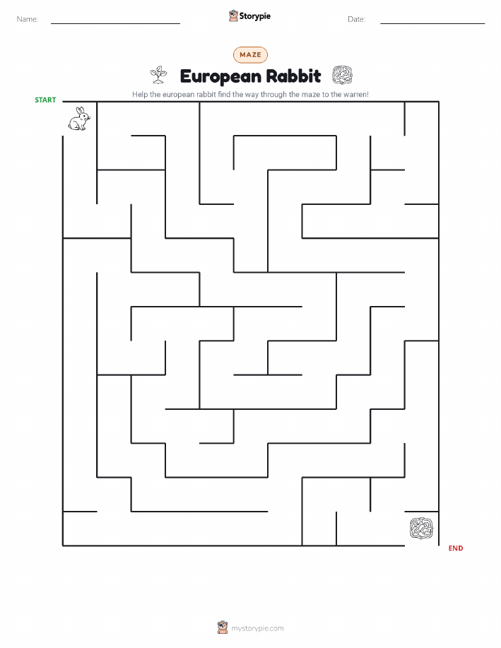 Maze